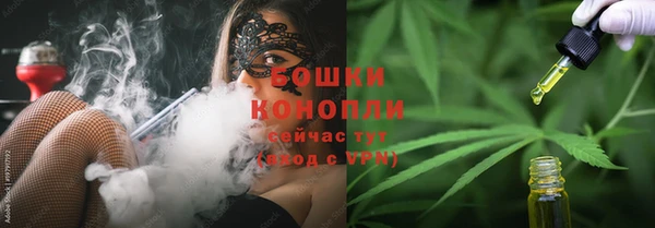 амф Елабуга