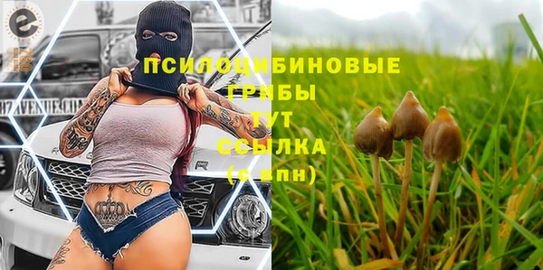 амф Елабуга