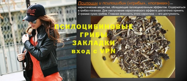 амф Елабуга