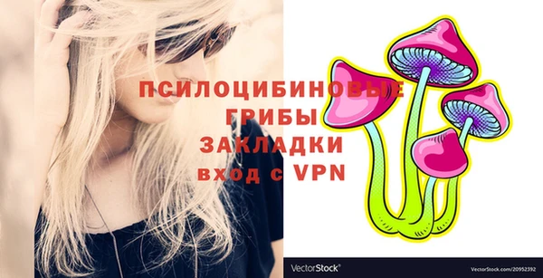 амф Елабуга