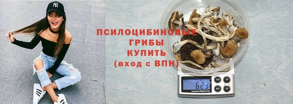 Альфа ПВП Щёлкино