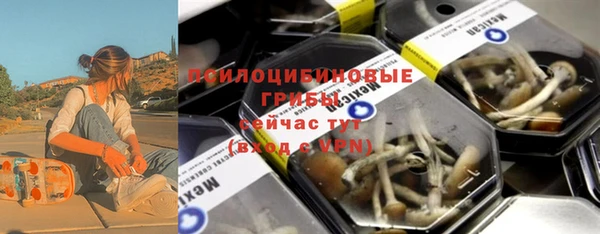 амф Елабуга