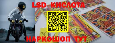 ECSTASY Гусев