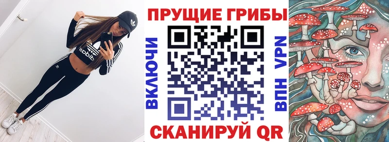 Галлюциногенные грибы Cubensis  Солнечногорск 
