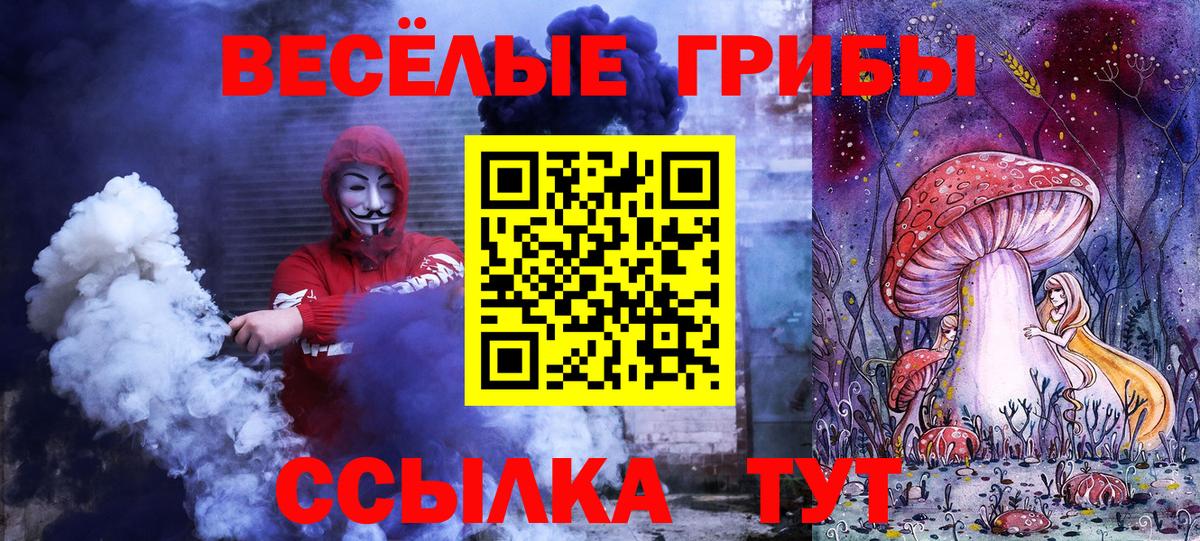 Псилоцибиновые грибы Psilocybine cubensis Солнечногорск
