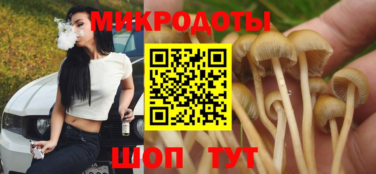Солнечногорск  Галлюциногенные грибы Cubensis  Вход с VPN 